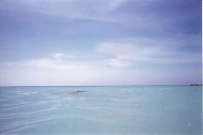 aruba01